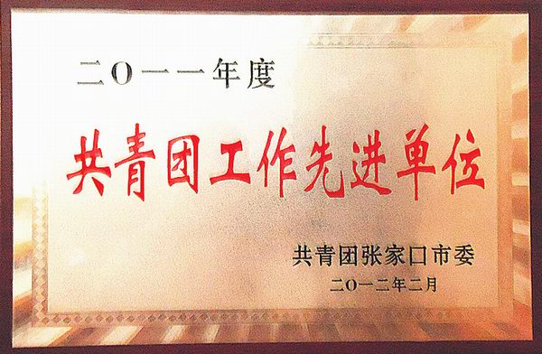 热烈祝贺BEAT365官网团委获得“五四红旗团委”荣誉称号