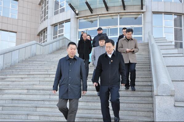 陈冲副市长一行到BEAT365英国官网网站调研